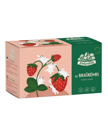 Vaisinė arbata su braškėmis vaikams, Žolynėlis, 20 pakelių