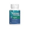 Magnesium malate for the nervous system and cognitive function, Acorus Balance, 80 capsules