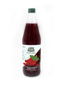 Winter Tea with redcurrant, tea concentrate, Žolynėlis, 750 ml