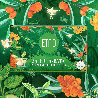 Green tea with sea buckthorn and lemon balm, ETNO, 20 tea bags