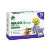 Neuro-2 Mg B6 capsules for stress, Švenčionių vaistažolės, 10 capsules