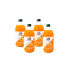 Sea buckthorn tea concentrate, Žolynėlis, 4 pcs