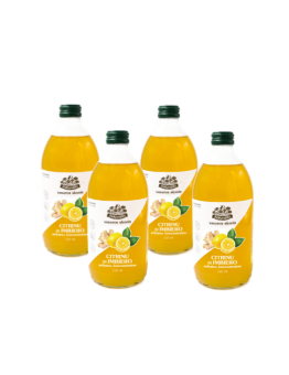 Lemon tea concentrate with ginger, Žolynėlis, 4 pcs